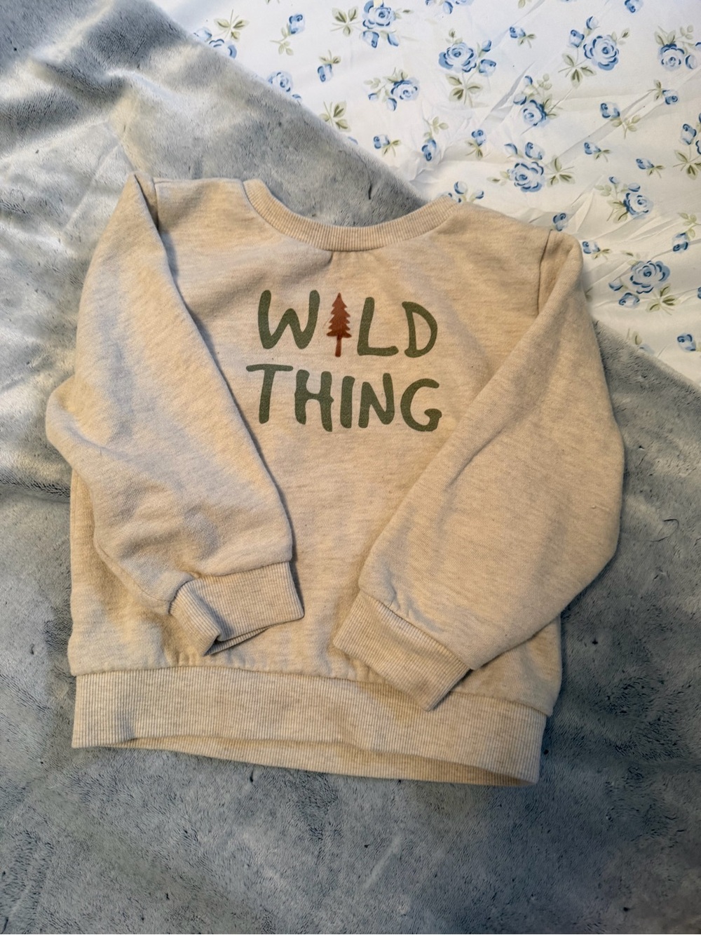 Falls Creek Beige Sweatshirt with Green Text